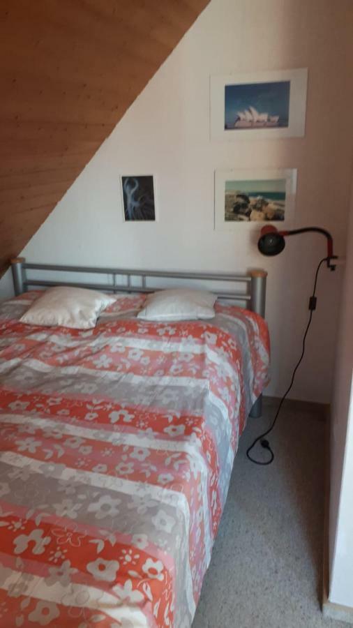 לייר Ferienwohnung Gesine מראה חיצוני תמונה